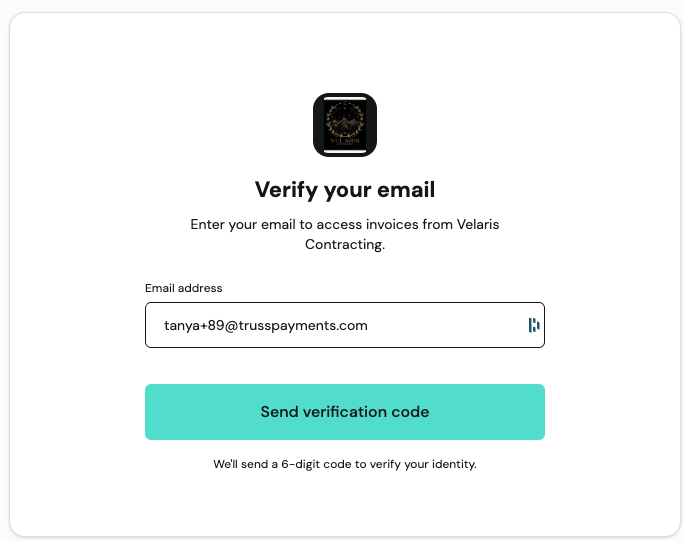 Verify your email screen — enter the email address the invoice was addressed to