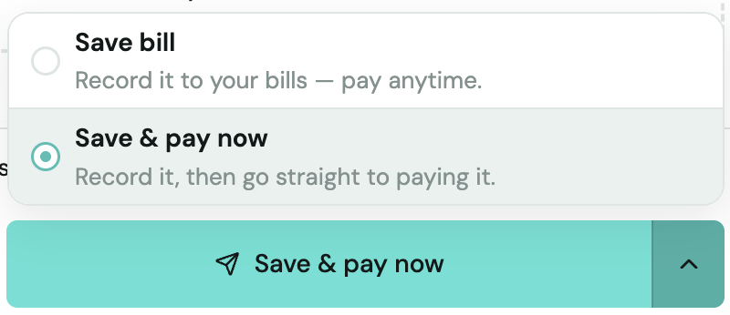 Save bill and Save & pay now options with the Save & pay now button selected